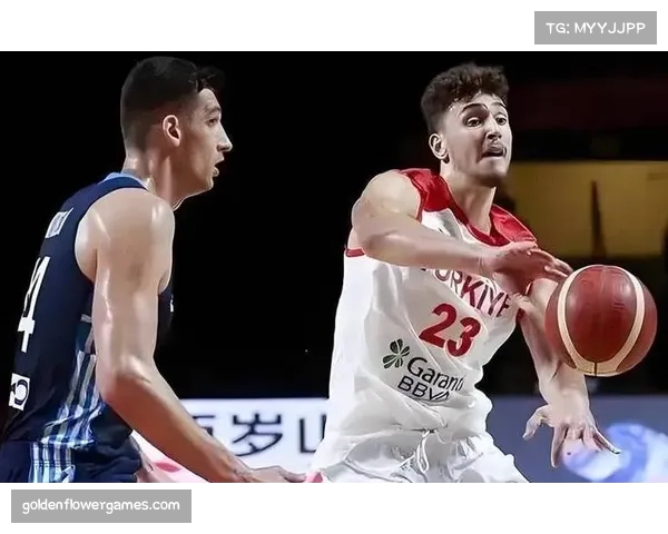 申京缺阵火箭失误频发 中轴作用凸显体系依赖性